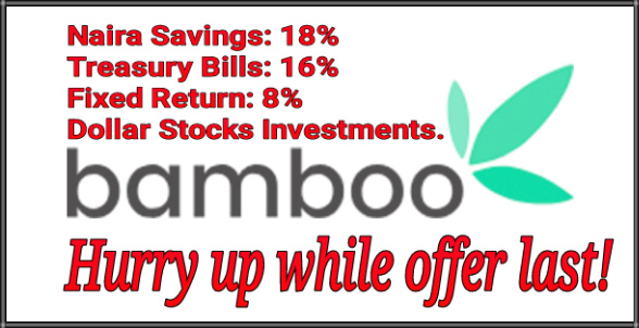 Bamboo Invest